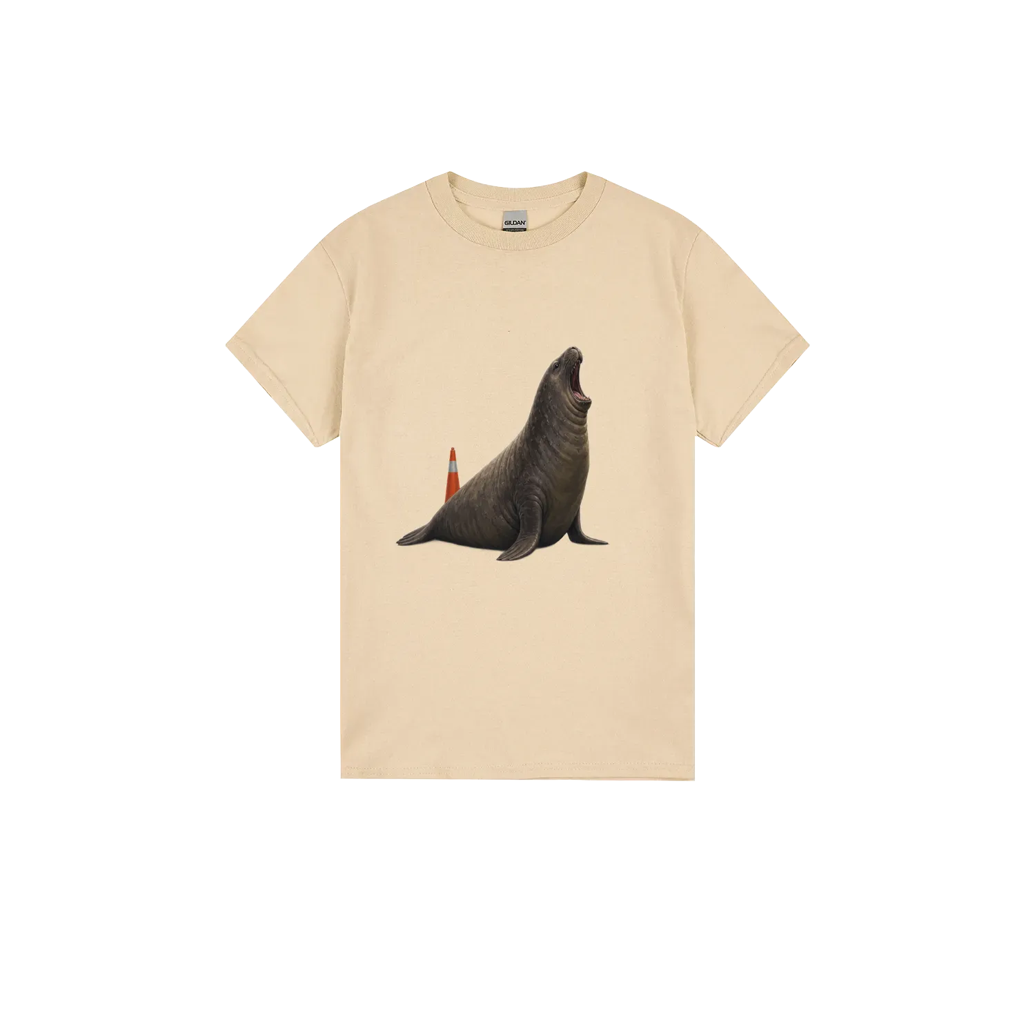 Sand front flat lay