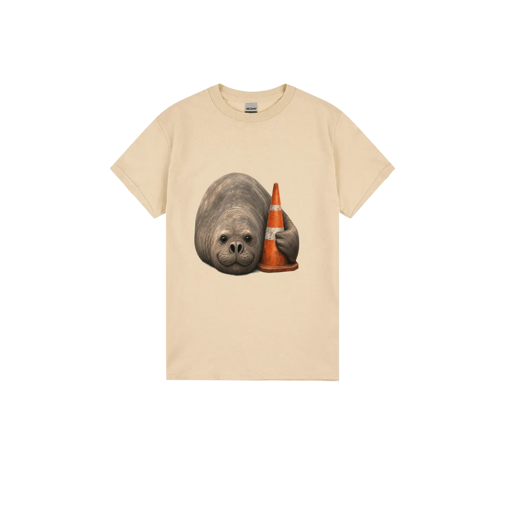 Sand front flat lay