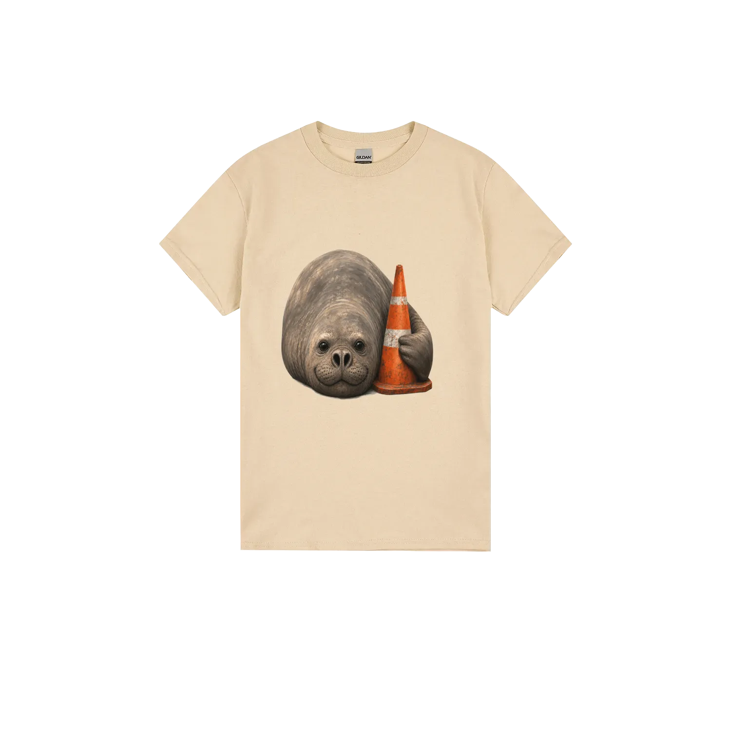 Sand front flat lay